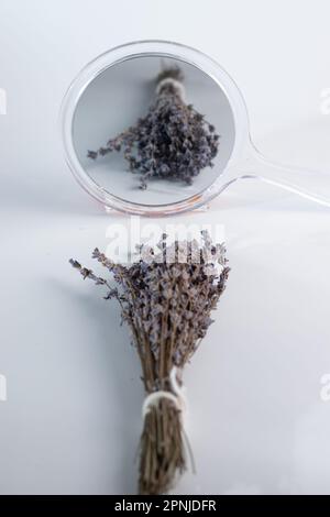 Image rapprochée d'un bouquet de lavande séché devant un miroir sur la surface blanche Banque D'Images