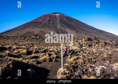 Vue sur le Mont Ngauruhoe sur la promenade de Tongariro Alpine Crossing, parc national de Tongariro, Île du Nord, Nouvelle-Zélande. Banque D'Images