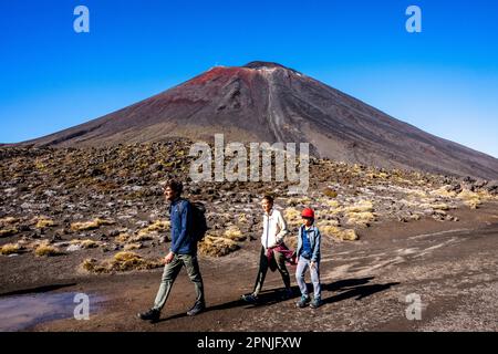 Vue sur le Mont Ngauruhoe sur la promenade de Tongariro Alpine Crossing, parc national de Tongariro, Île du Nord, Nouvelle-Zélande. Banque D'Images