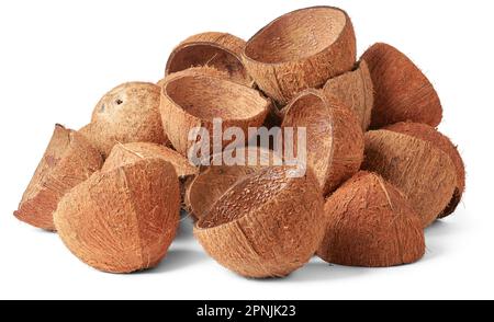 pile de fruits de coco en coquille isolée sur fond blanc, matériau fibreux solide et durable d'importance commerciale, utilisé comme source de combustible Banque D'Images