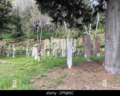 Le cimetière historique de Kandilli, situé à Istanbul, en Turquie, se distingue par ses pierres tombales riches. Banque D'Images