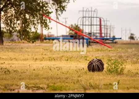 Un ballon de basket-ball aux couleurs pâles et décolorées qui se déchue dans un parc abandonné en été avec une vue sur la mer en arrière-plan, un ciel nuageux et de l'herbe morte jaune Banque D'Images