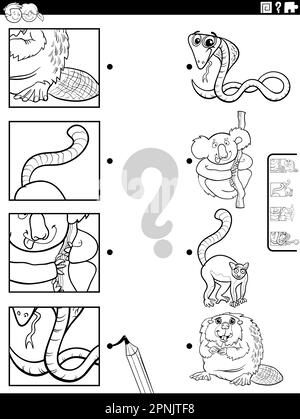 Dessin animé noir et blanc illustration du jeu éducatif correspondant avec des personnages animaux et des images coupures page de coloriage Illustration de Vecteur