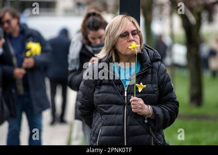 Varsovie, Pologne, 19/04/2023, les citoyens et les participants à la cérémonie sont vus en train de tenir des jonquilles comme symbole du soulèvement du ghetto au cours de la cérémonie. La Pologne a marqué le 80th anniversaire du soulèvement du ghetto de Varsovie - une violente révolte qui s'est produite de 19 avril à 16 mai 1943, pendant la Seconde Guerre mondiale Les habitants du ghetto juif de Varsovie, occupé par les nazis, ont organisé la révolte armée pour empêcher les déportations vers les camps d'extermination dirigés par les nazis. Le soulèvement est devenu un symbole éternel de la résistance des juifs polonais contre l'Holocauste. Entre 1942 et 1943 Allemands ont transporté plus de 300 000 Juifs fro Banque D'Images