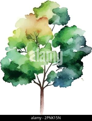 Aquarelle arbre main dessiner vecteur nature peinture Illustration de Vecteur