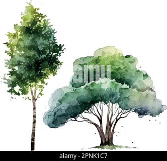 Aquarelle arbre main dessiner vecteur nature peinture Illustration de Vecteur