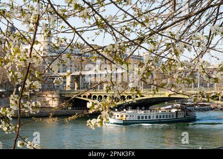 Bateau touristique passant sous le pont de Bir-Hakeim et cerisier en pleine floraison - Paris Banque D'Images