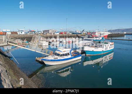 Bateaux d'observation des baleines dans le port, Reykjavik, Islande, Europe Banque D'Images