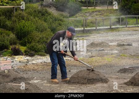 Un ouvrier commence à découvrir le sable volcanique d'une fosse géothermique appelée fumarole utilisé pour préparer le cozido das Furnas, un ragoût portugais emblématique au lac Furnas sur l'île Azorean de Sao Miguel à Furnaes, au Portugal. Le pot d'ingrédients est abaissé dans l'évent volcanique le matin et cinq heures plus tard enlevé et servi dans les restaurants locaux. Banque D'Images