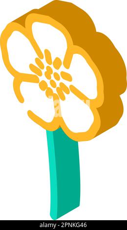illustration vectorielle d'icône isométrique à motif de fleur de buttercup Illustration de Vecteur