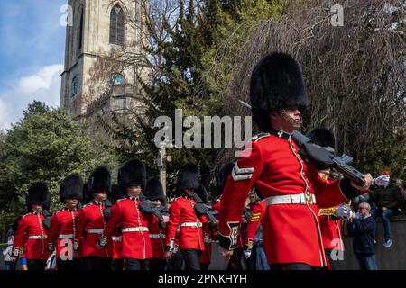 Windsor, Royaume-Uni. 8th avril 2023. Les gardes irlandais retournent à la caserne Victoria du château de Windsor après la cérémonie de la relève de la garde. La cérémonie de la relève de la garde a généralement lieu à 11 h 00am les mardi, jeudi et samedi. Crédit : Mark Kerrison/Alamy Live News Banque D'Images