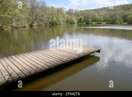 Une ancienne jetée en bois à Fosse Arthour, Saint Georges de Rouelley, Normandie, France, Europe Banque D'Images