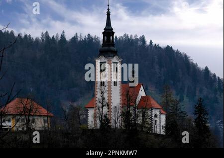 L'église notre-Dame sur le lac est une petite église baroque située sur une île au milieu du lac Bled, en Slovénie. Banque D'Images