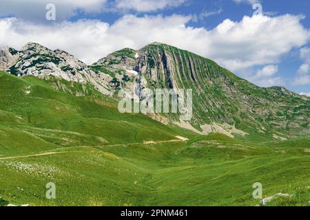 Monténégro. Parc national de Durmitor. Passage en selle. Prairies alpines. Paysage de montagne. Site touristique populaire Banque D'Images