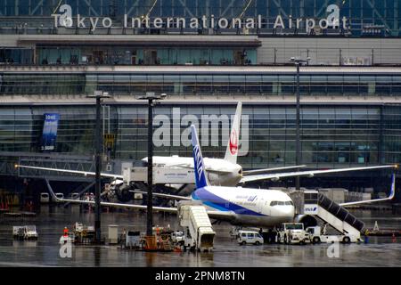 Tokyo, Japon. 15th avril 2023. Des avions JAL et ANA vous attendent à l'aéroport Haneda de Tokyo. Une enquête a été menée dans le cadre de la ''Woman Research'' ciblant les femmes et de la ''Kodomo Research' ciblant les parents avec des enfants afin d'enquêter sur leur satisfaction vis-à-vis des compagnies aériennes. Par conséquent, ''Japan Airlines (JAL)' a été classée comme la meilleure compagnie aérienne pour la satisfaction globale des femmes. (Credit image: © James Matsumoto/SOPA Images via ZUMA Press Wire) USAGE ÉDITORIAL SEULEMENT! Non destiné À un usage commercial ! Banque D'Images