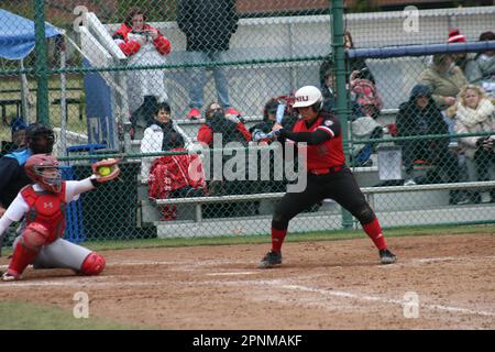 Bradley (Braves) contre Northern Illinois (Huskies) à St. Louis Billikens Field à St, Louis, Missouri, États-Unis. Banque D'Images