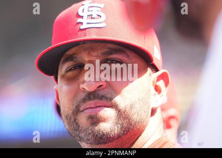 St. Louis, États-Unis. 19th avril 2023. St. Oliver Marmol, directeur de Louis Cardinals, observe l'action contre les Arizona Diamondbacks au Busch Stadium de St. Louis, mercredi, 19 avril 2023. Photo par Bill Greenblatt/UPI crédit: UPI/Alay Live News Banque D'Images