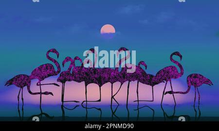 La Floride est énoncée dans les jambes d'une volée de flamants debout dans l'eau peu profonde au coucher du soleil dans cette illustration à propos de tropical en Floride, aux États-Unis. Banque D'Images