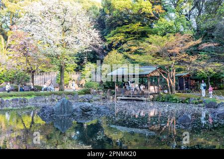 Tokyo 2023 avril, Shinchi Gardens le jardin de l'étang sacré dans le domaine du sanctuaire Yasukini à Chiyoda City, Tokyo, Japon Banque D'Images