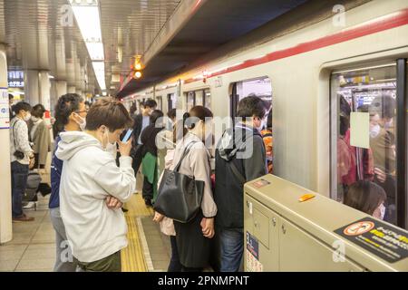 Réseau ferroviaire de Tokyo avril 2023, des navetteurs japonais embarqueraient dans un train à bord du métro de Tokyo, certains portant des masques de communication covid, Japon Banque D'Images