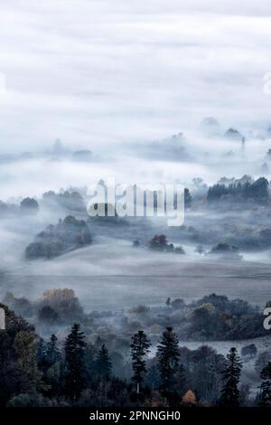 Vue depuis la Corne de Zeller sur le paysage brumeux de l'Alb souabe, forêt d'automne, Onstmettingen, Albstadt, Bade-Wurtemberg, Allemagne Banque D'Images