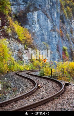 Chemin de fer de la vallée du Danube non électrifié à voie unique près de Thiergarten, ligne de chemin de fer sinueuse, forêt d'automne dans le parc naturel du Haut Danube Banque D'Images
