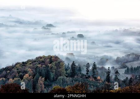 Vue depuis la Corne de Zeller sur le paysage brumeux de l'Alb souabe, forêt d'automne, Onstmettingen, Albstadt, Bade-Wurtemberg, Allemagne Banque D'Images