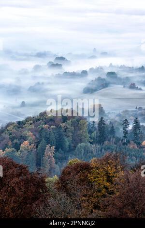 Vue depuis la Corne de Zeller sur le paysage brumeux de l'Alb souabe, forêt d'automne, Onstmettingen, Albstadt, Bade-Wurtemberg, Allemagne Banque D'Images