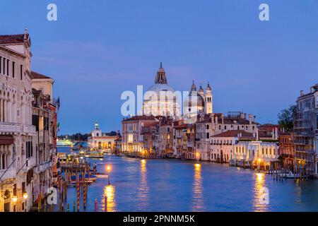 Vue sur le Grand Canal à Punta della Dogana, sur la droite l'église la Salute, soirée, Venise, Vénétie, Italie Banque D'Images