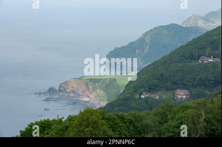 Vue sur la baie de Lynmouth, par temps ensoleillé, ciel bleu avec nuage blanc, verdure en premier plan Banque D'Images