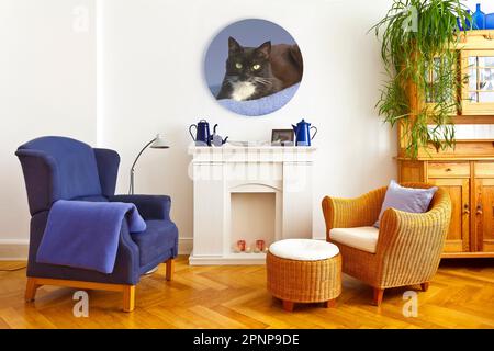 Concept de décoration d'intérieur extraordinaire : salon coloré mais confortable avec une photo de chat ronde sur mesure imprimée sur toile, bois, carton dur ou métal. Banque D'Images