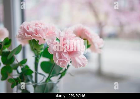 Petit bouquet d'œillets roses sélective Focus belles fleurs Banque D'Images