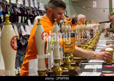 Barman versant de la vraie bière du robinet à un festival de la bière avec diverses pompes à bière alignées, festival de la bière CAMRA Isle of Man, Douglas Banque D'Images