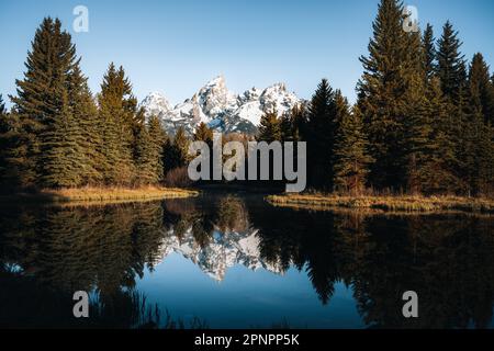 Teton Range se reflète sur l'étang du castor à Schwabacher Landing, parc national de Grand Teton, Wyoming Banque D'Images