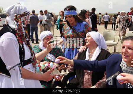 Un groupe de femmes Yazidi participant à la célébration de la fête du mercredi rouge dans le village de Bacinê est vu s'amuser en tenant des œufs colorés dans la joie. Les Kurdes Yazidi vivant dans le village de Bacine du district de Midyat et des districts de Besiri en Turquie ont célébré la fête du mercredi rouge, connue sous le nom de 'Charshema SOR' en kurde, joyeusement avec divers divertissements. Des hommes, des femmes et des enfants de 10 familles yazidi vivant dans le village de Bacine se sont réunis au Centre culturel Yazidi après les prières du matin, portant les robes les plus colorées et les plus belles. Yazidis croient que avril est un mois de printemps Saint Banque D'Images