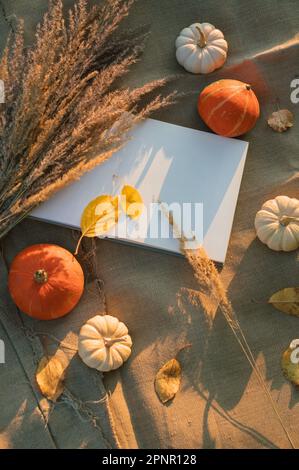 Vue du dessus d'un morceau de papier blanc vierge avec de l'herbe de pampas séchée, des citrouilles et des feuilles d'automne sur une nappe en lin Banque D'Images