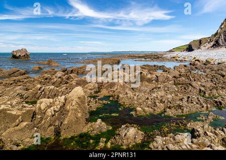 Vue pittoresque, vue de faible marée de Greencliff Beach, avec Pebbles, Exposed Rocks, Rock pools et vue sur la mer vers Croyde et Baggy point #2: Greencliff, Banque D'Images