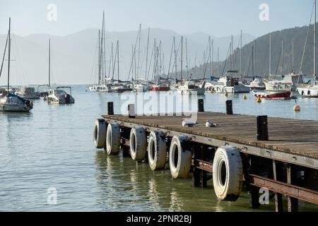 Deux mouettes assises sur un quai en bois, Golfo dei Poeti (Golfe des poètes), Lerici, la Spezia, Ligurie, Italie Banque D'Images