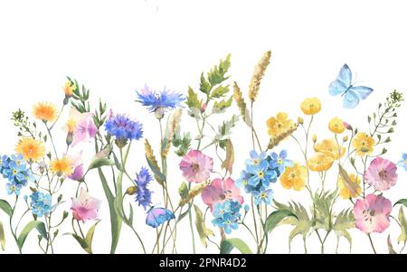 Bordure sans couture avec herbes et fleurs sauvages, feuilles, papillons. Illustration botanique sur fond blanc. Modèle avec place pour le texte. Banque D'Images