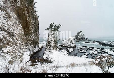 La côte rocheuse de la mer du Japon en hiver dans la préfecture d'Aomori, vue à partir d'un train sur la ligne Gono. Banque D'Images