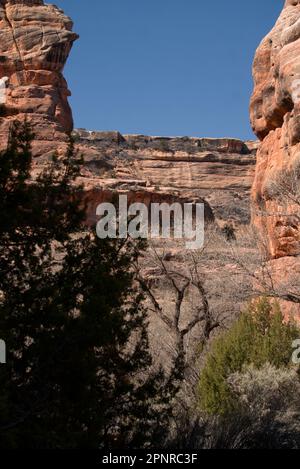 Un virage dans le canyon : Grand Gulch dans l'Utah Banque D'Images