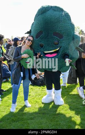 Hype Park, Londres, Royaume-Uni. 20th avril 2023. Des milliers de fumeurs de cannabis, des participants fument ouvertement du cannabis, un « Smoking Weed Holiday » commun au 420 Hyde Park Londres. Les manifestants pensent que le cannabis devrait être légalisé en tant que drogue douce à Londres. Les grands policiers ne sont pas en mesure d'arrêter quiconque et de surveiller les fauteurs de troubles. Crédit : voir Li/Picture Capital/Alamy Live News Banque D'Images