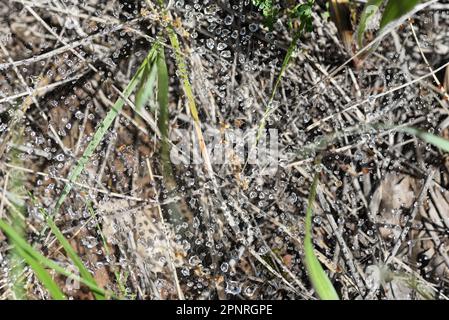 La Valette du Var F 83 Banque D'Images