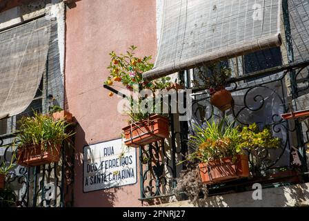 Lissabon, Portugal. 05th avril 2023. De nombreuses plantes sont accrochées dans des pots de fleurs sur des balustrades de balcon dans le centre de Lisbonne. Crédit : Viola Lopes/dpa/Alamy Live News Banque D'Images