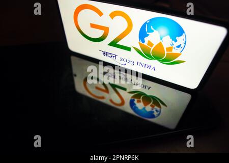 Brésil. 20th avril 2023. Dans cette illustration, le logo du sommet de New Delhi 2023 G20 s'affiche sur l'écran d'un smartphone. L'événement aura lieu entre le 9-10 septembre 2023. Crédit : SOPA Images Limited/Alamy Live News Banque D'Images