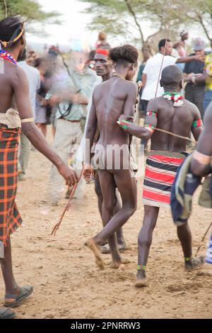 Cérémonie de saut à la taureau Hamer Tribe, Éthiopie Banque D'Images