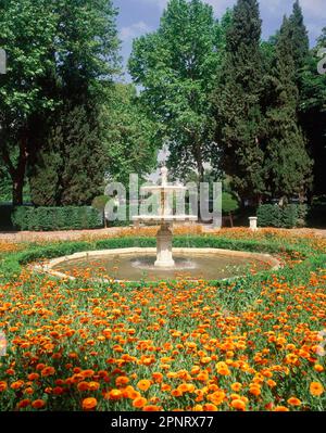 FUENTE RODEADA DE CLAVELES. Lieu: RETIRO, EL. MADRID. ESPAGNE. Banque D'Images