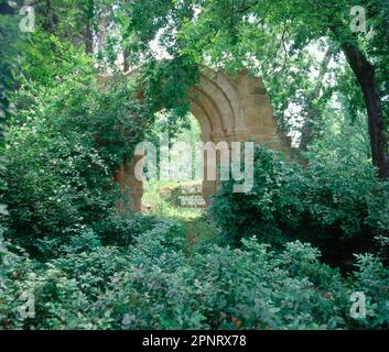 RUINAS ENTRE LA VEGETACION. Lieu: RETIRO, EL. MADRID. ESPAGNE. Banque D'Images