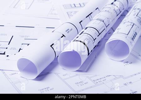 Plan de construction. Dessin de schéma enroulé dans un rouleau. Planification de la rénovation de la maison.. Banque D'Images