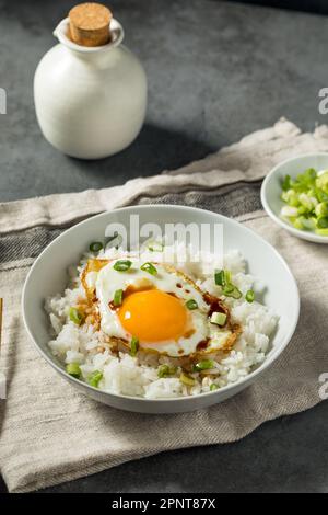 Petit-déjeuner à base d'œufs et de riz frits asiatiques maison avec sauce au soja Banque D'Images